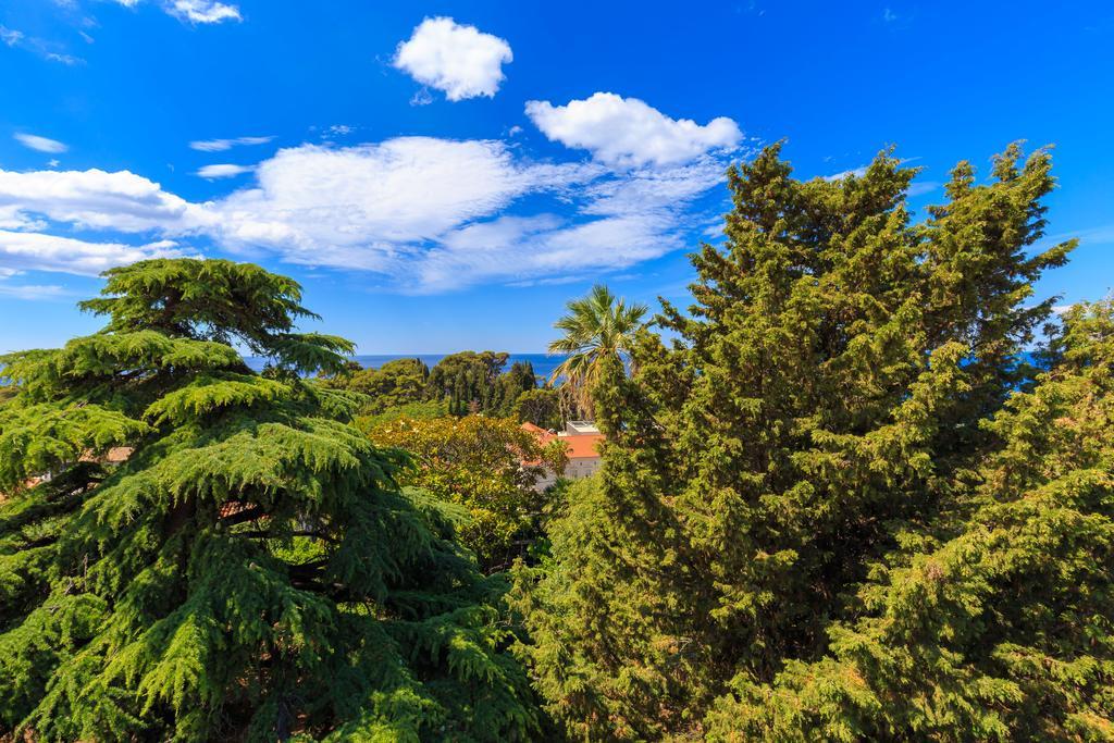 Hedera Estate, House Hedera V Holiday home *